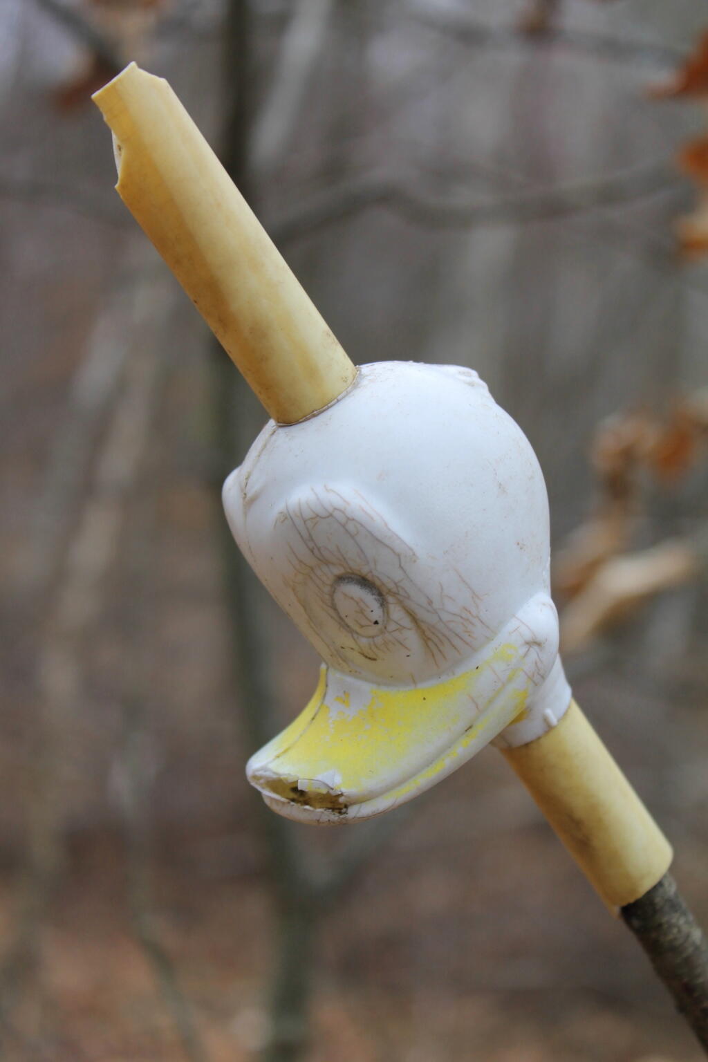 Photo: Dump Duck