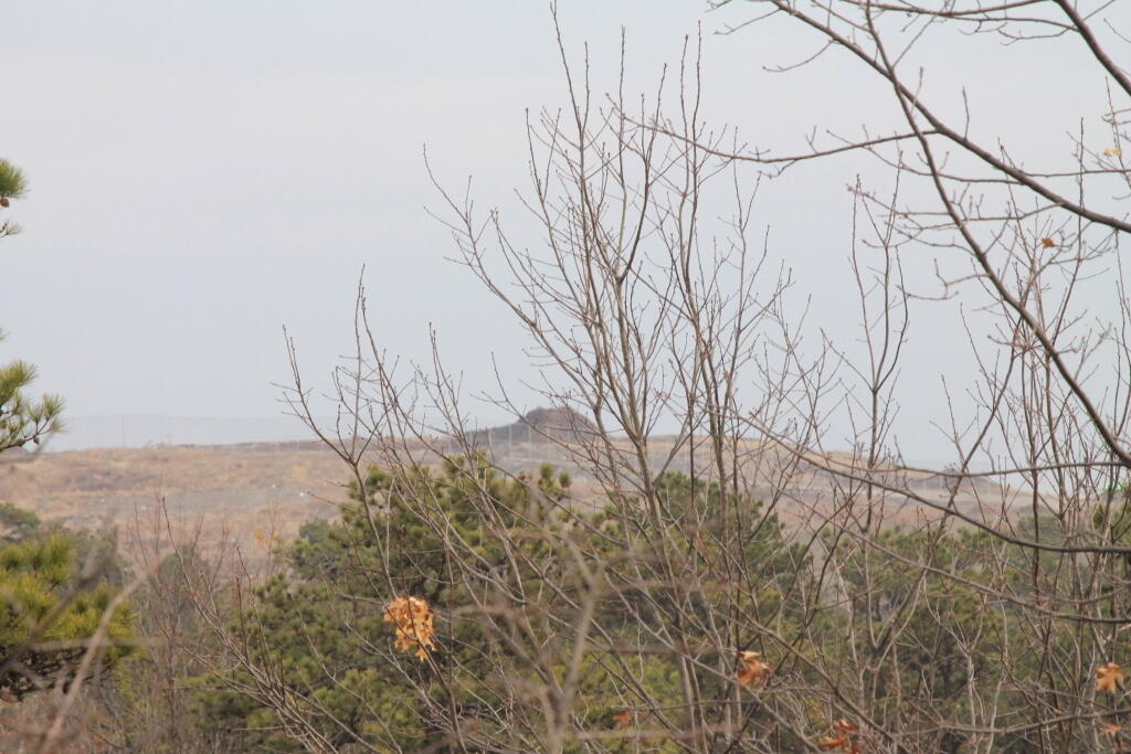 Photo: Landfill from Overlook Dune