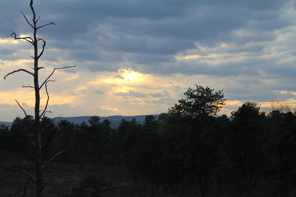 Photo: Waiting for the Sunset