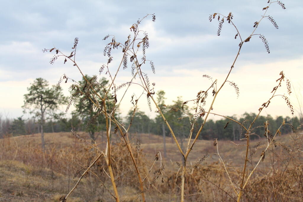 Photo: Untitled Photo: Untitled