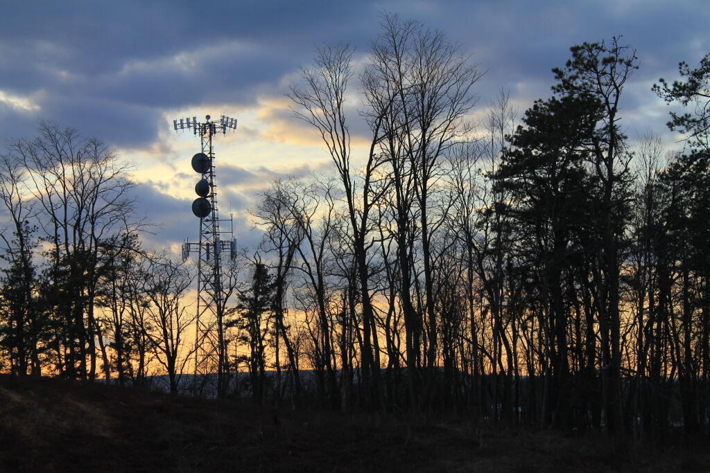 Photo: Aliens Invade the Pine Bush