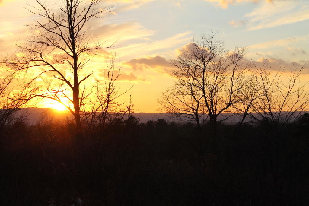 Photo: Almost Sunset