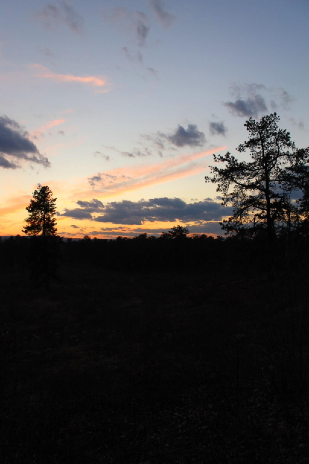 Photo: Dusk Photo: Dusk