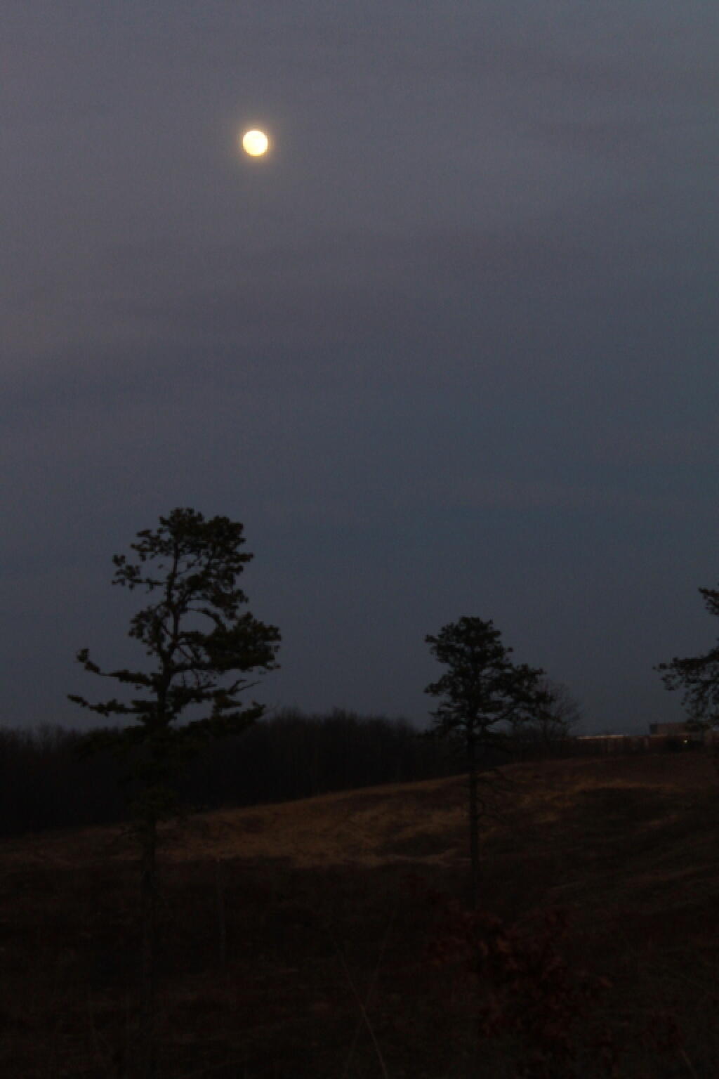 Photo: Full Moon Over Pine Bush Photo: Full Moon Over Pine Bush
