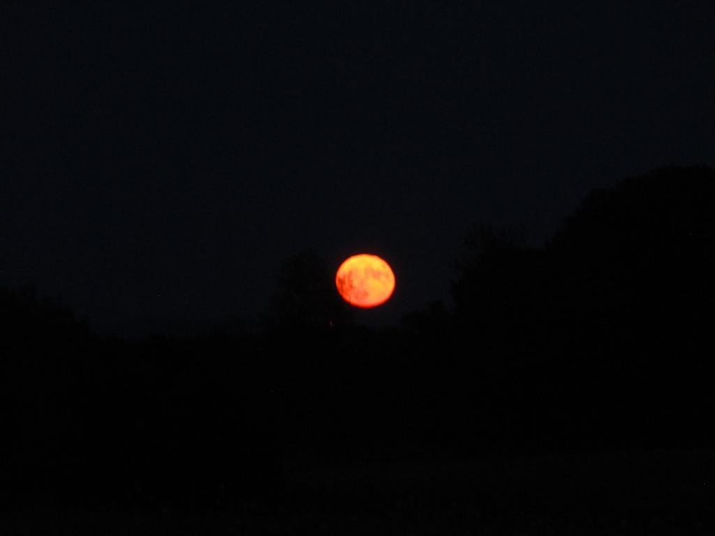 Photo: The moon last night Photo: The moon last night