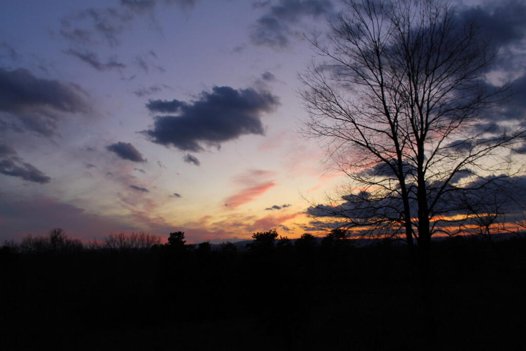 Photo: Almost Black Out