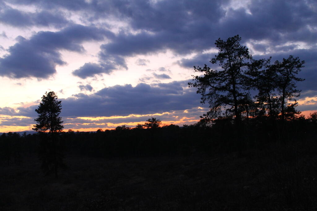 Photo: Untitled Photo: Untitled