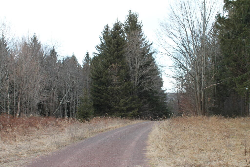 Photo: Walking Along CCC Road