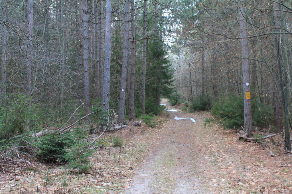 Photo: Along Another Haul Road