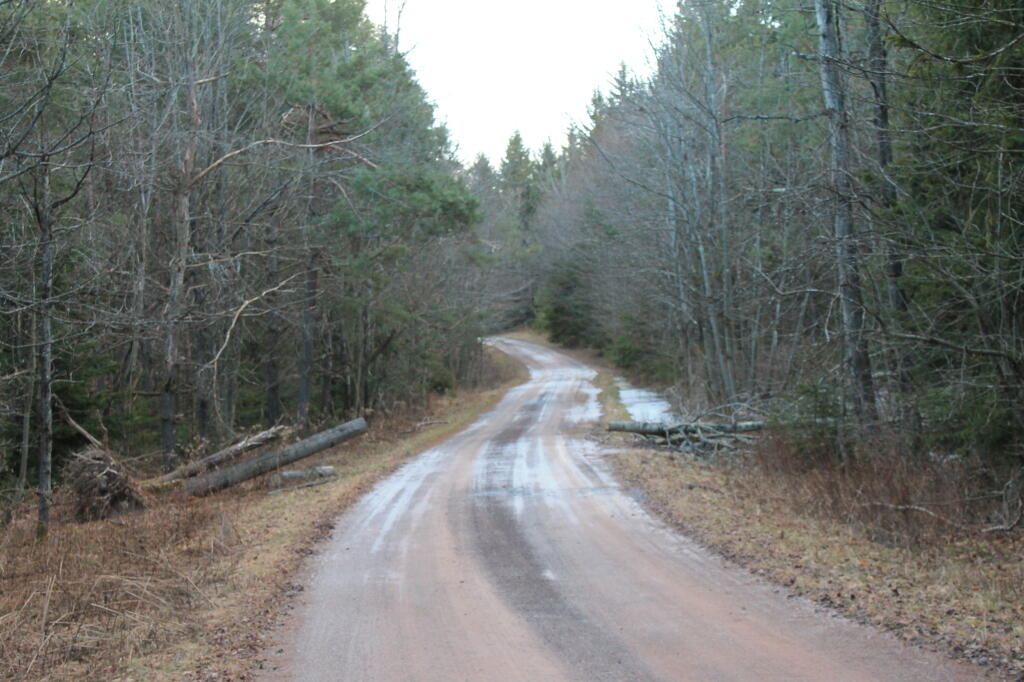 Photo: Bend in Gordon Road