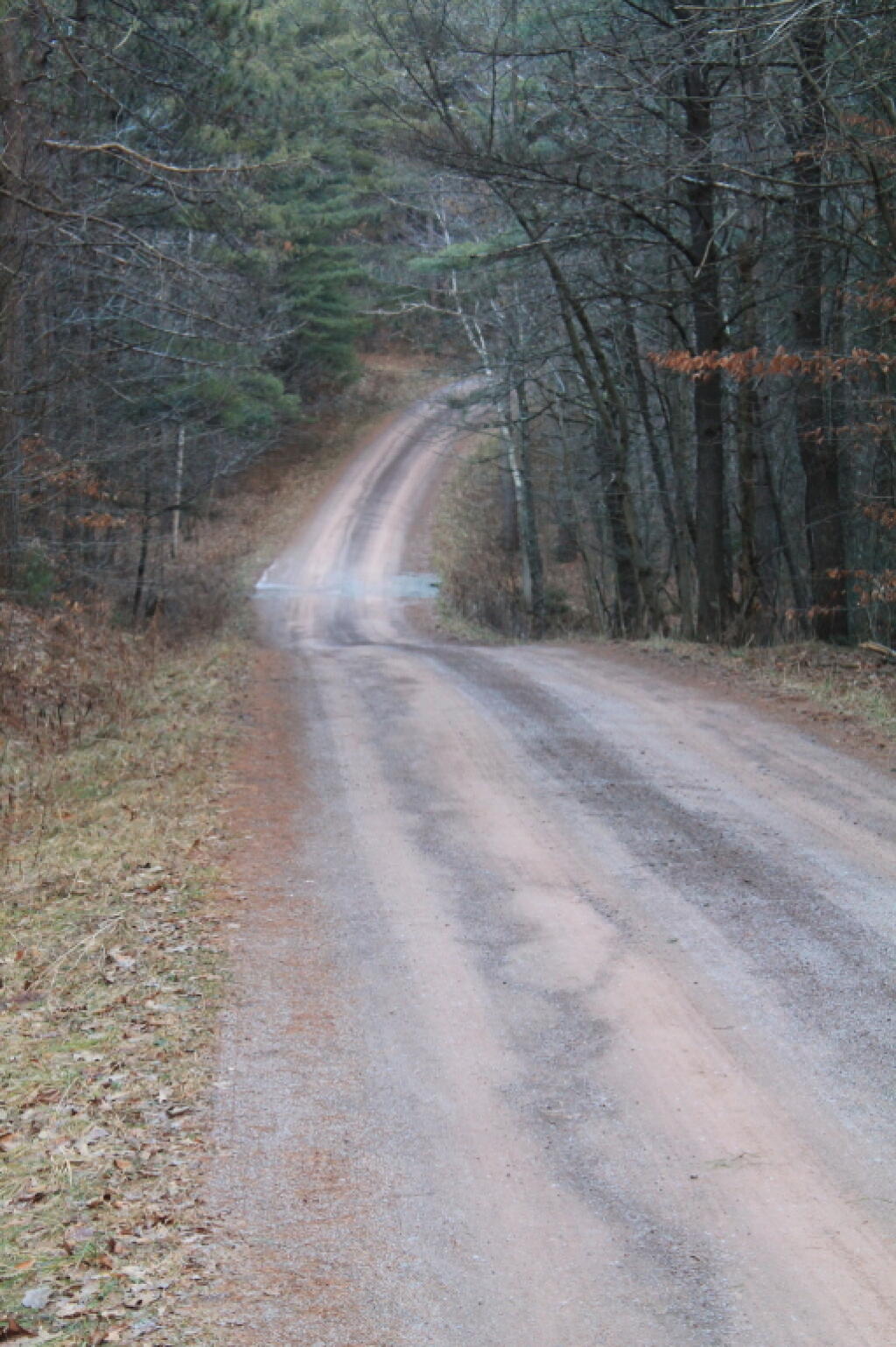 Photo: State Preserve Road Photo: State Preserve Road