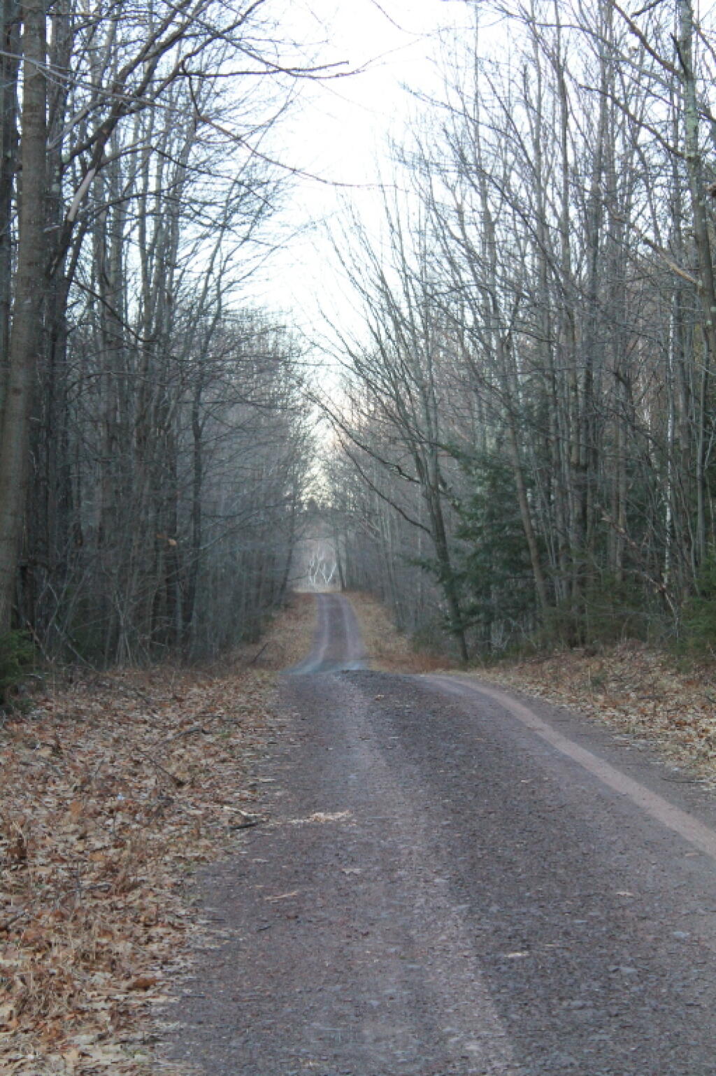 Photo: Along CCC Road