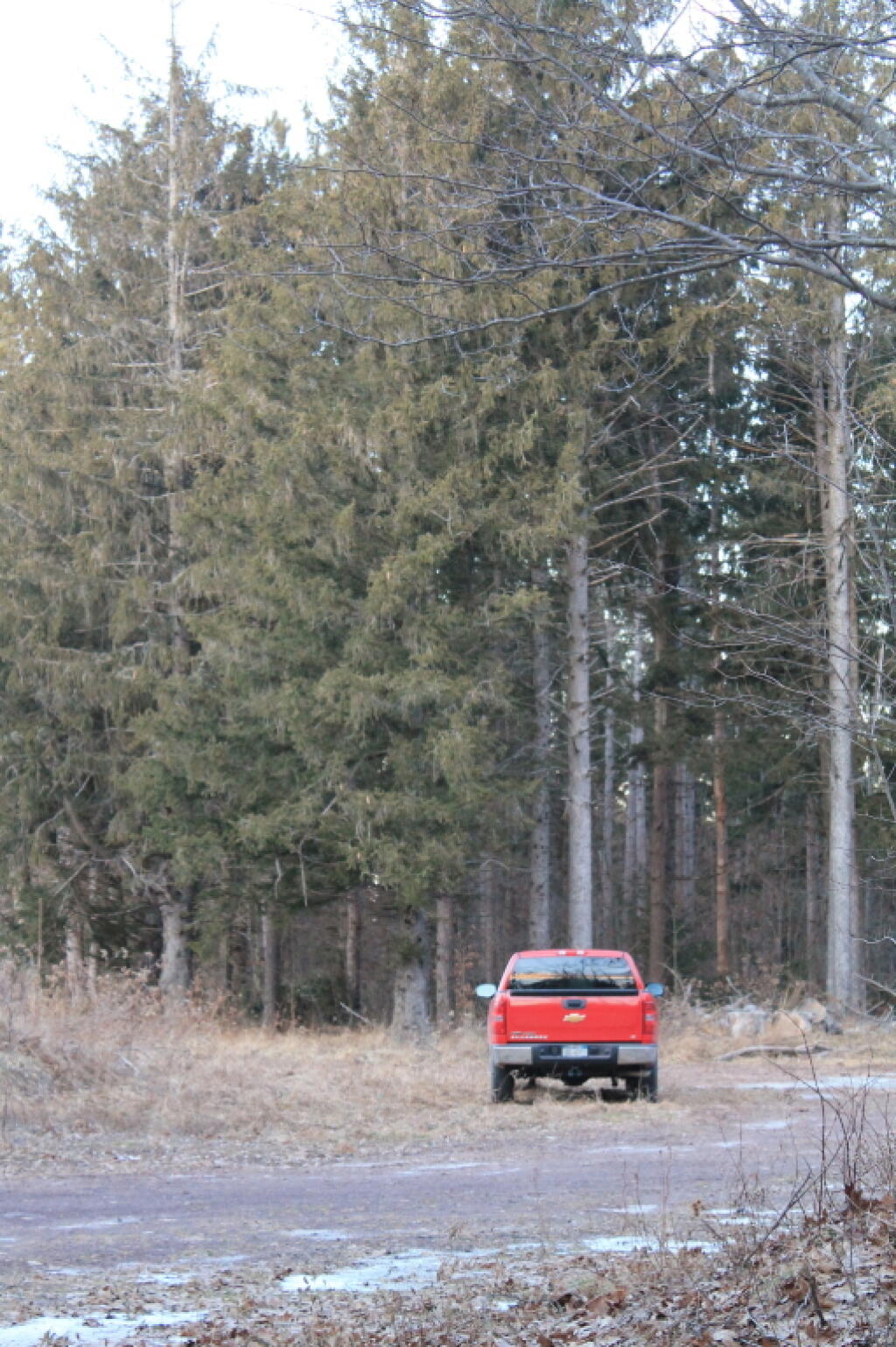 Photo: Back to Big Red