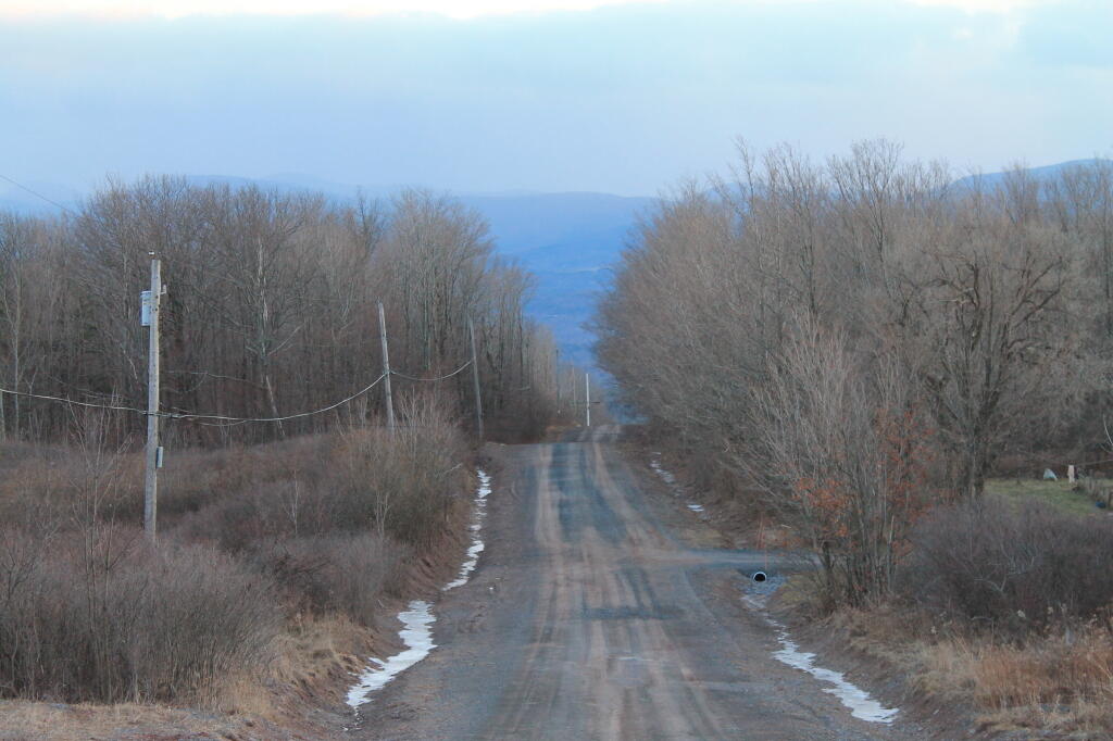 Photo: Down Scutt Road Photo: Down Scutt Road