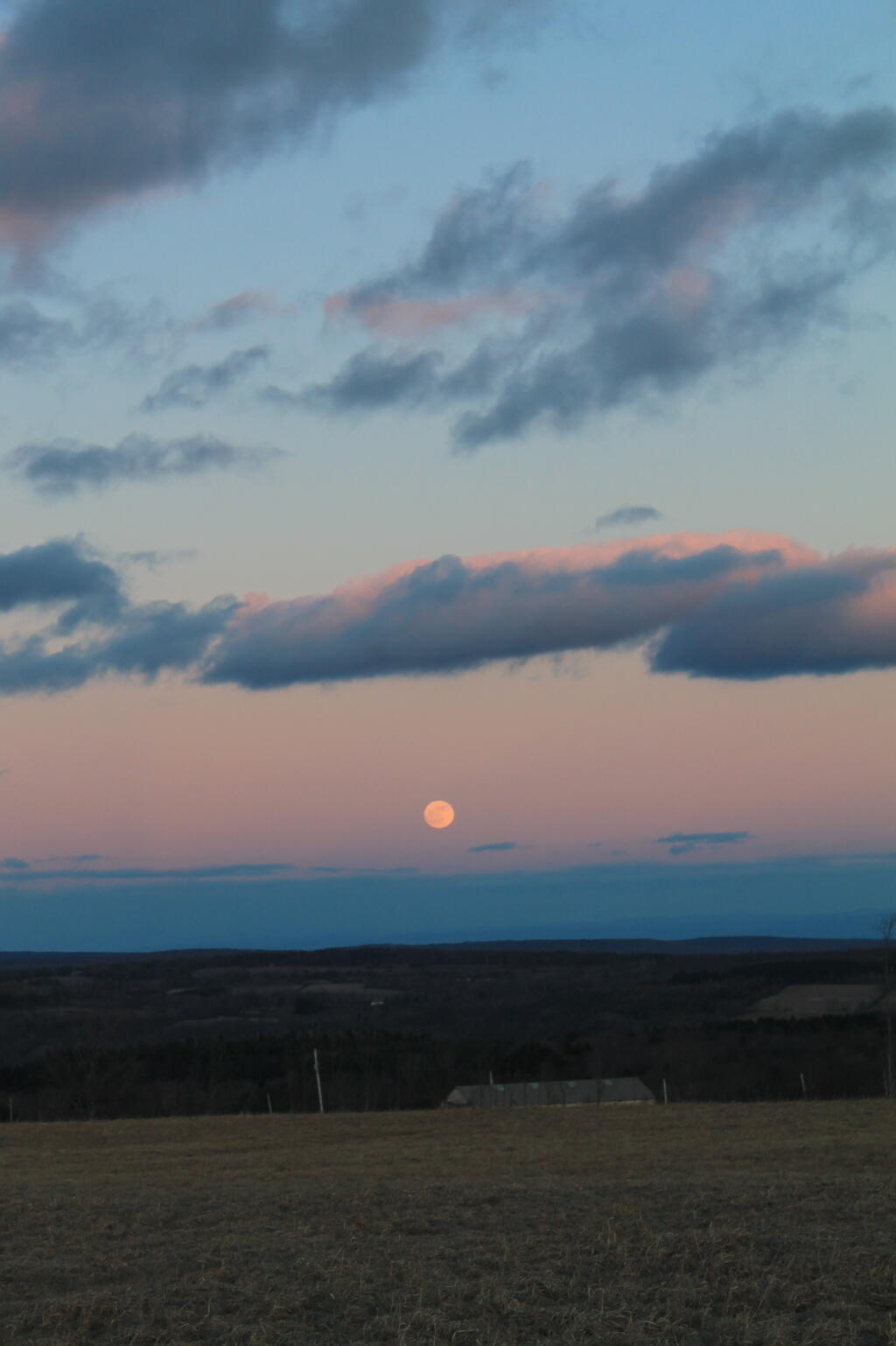 Photo: Moon Rising Photo: Moon Rising