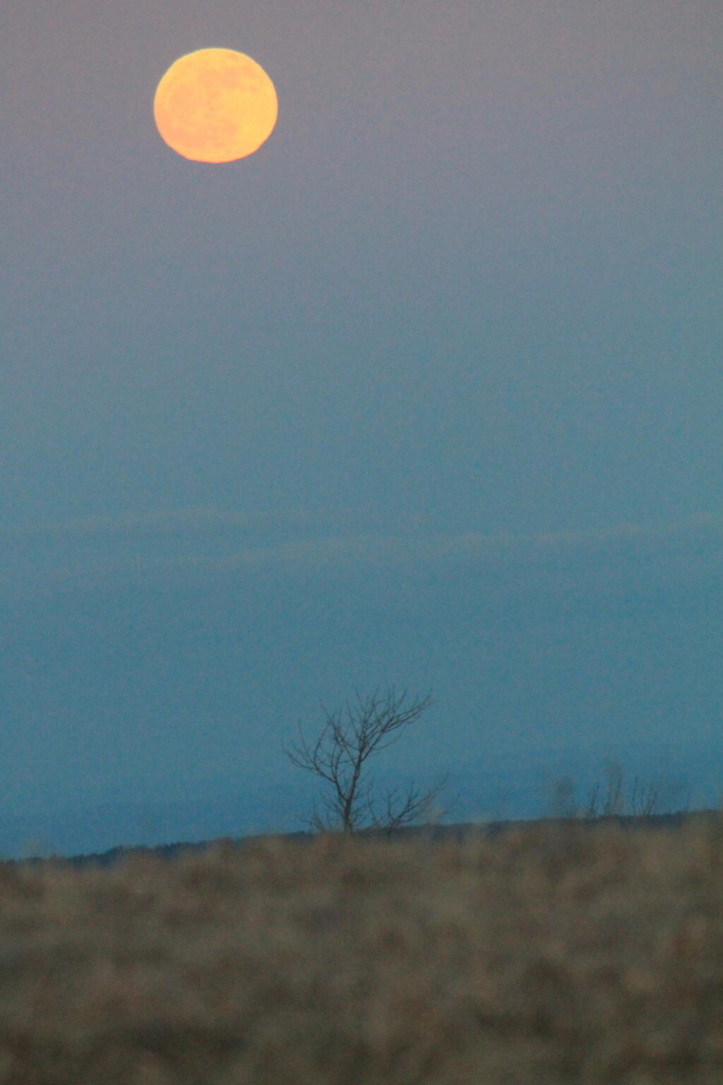 Photo: Mooned Photo: Mooned
