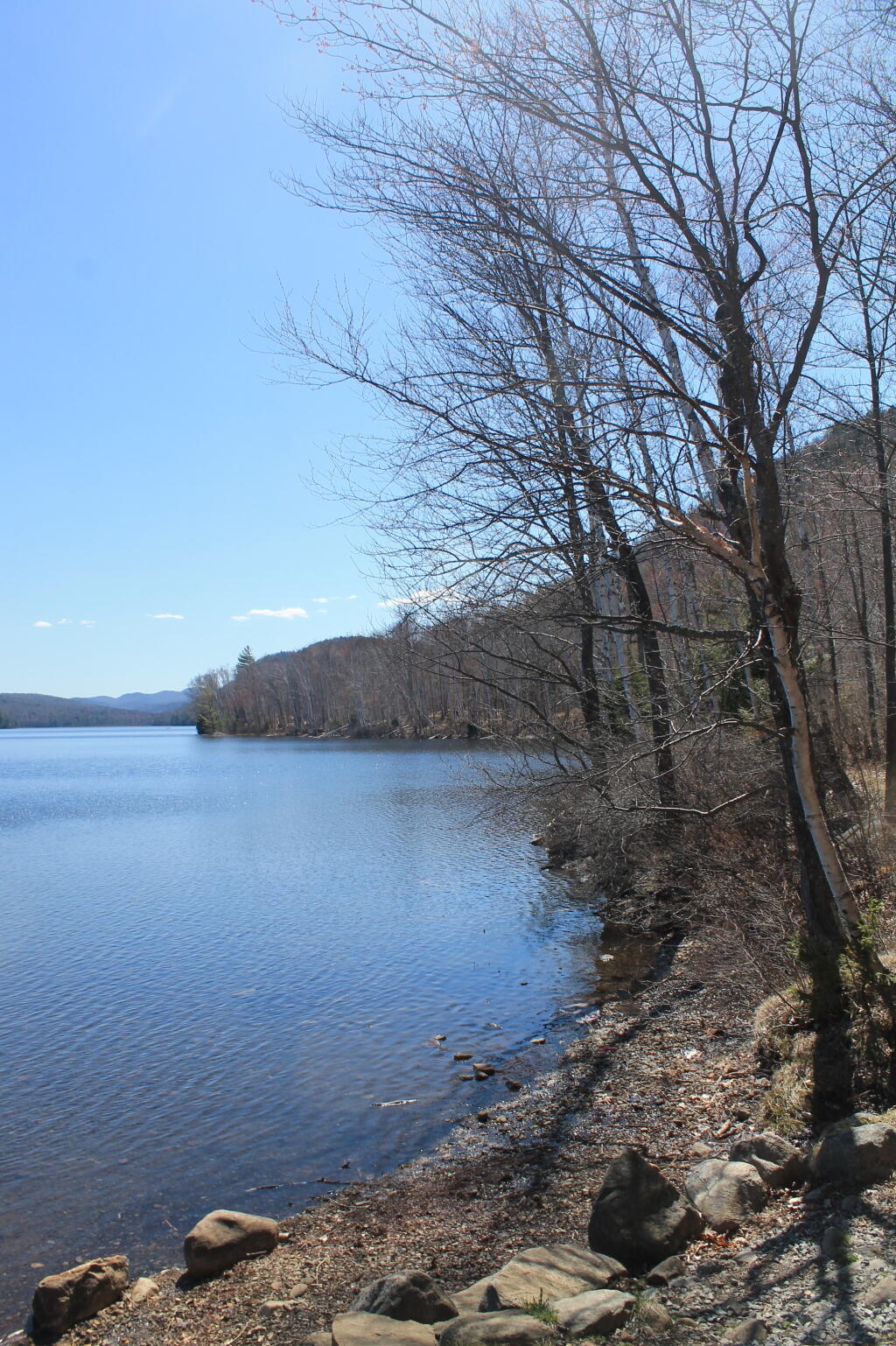 Photo: Along the Lake