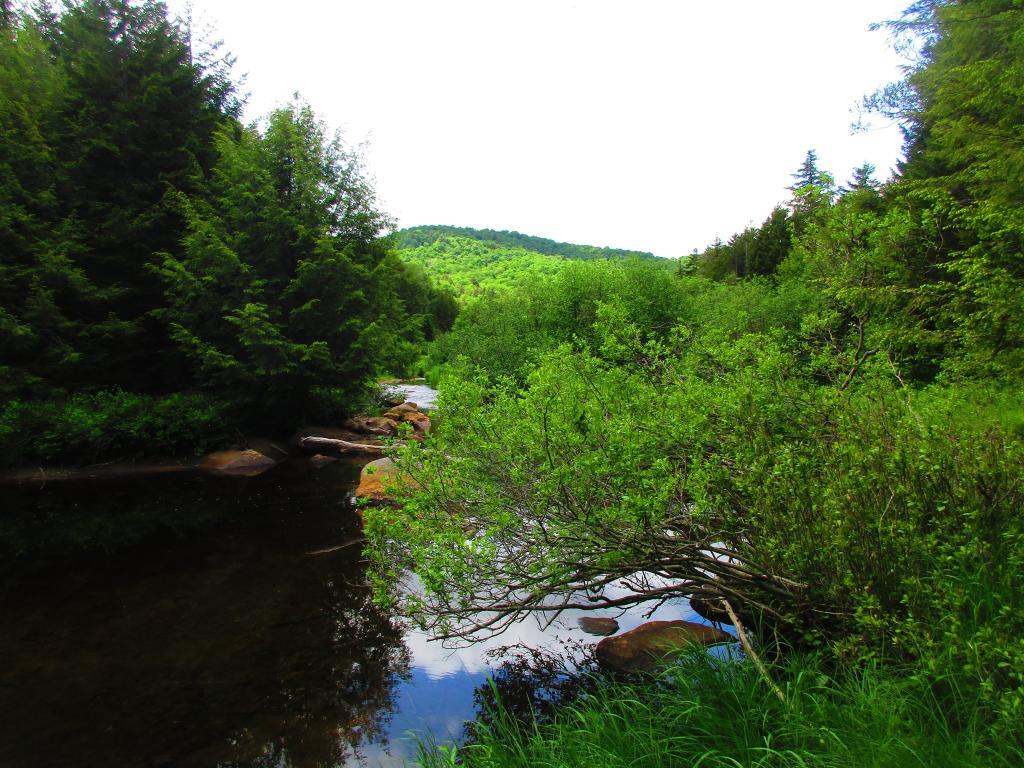 Photo: Big Alderbed Mountain Photo: Big Alderbed Mountain