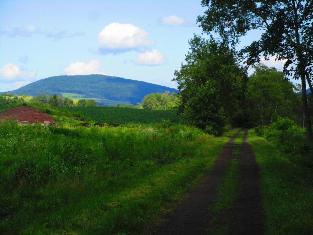 Photo: South of Stamford