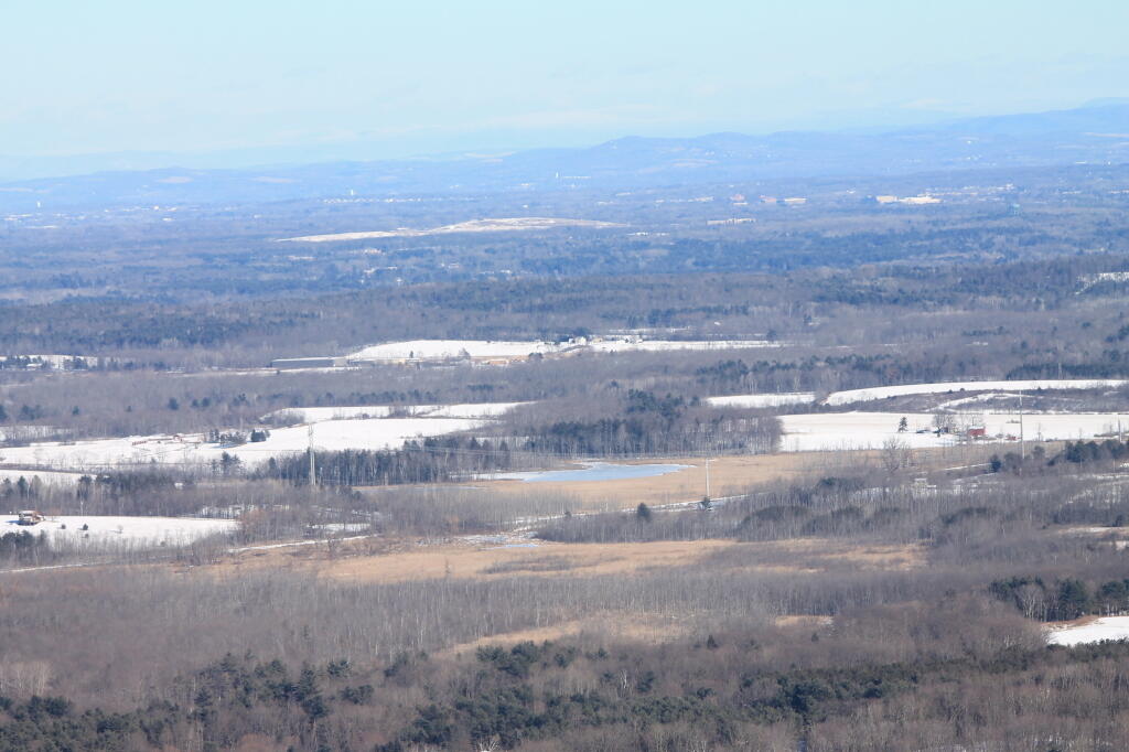 Photo: Towards the Pine Bush Photo: Towards the Pine Bush
