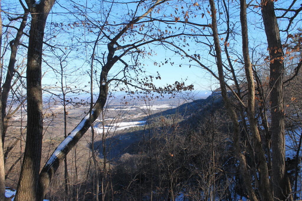 Photo: Thru the Trees Photo: Thru the Trees