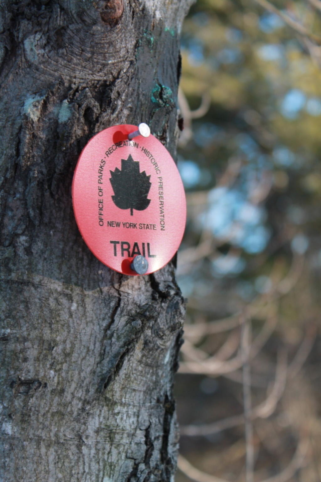 Photo: Trail Marker Photo: Trail Marker