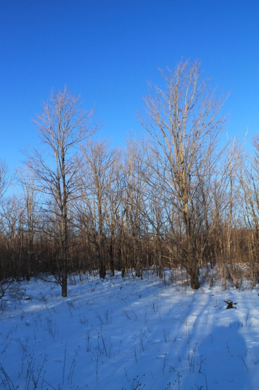 Photo: Deep Blue Skies Photo: Deep Blue Skies