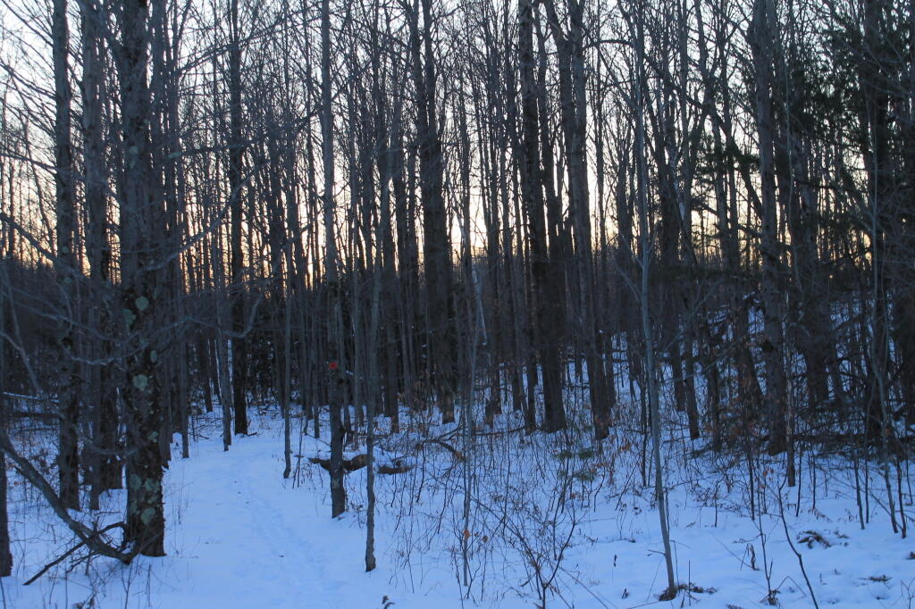 Photo: Almost Back to the Blue Shale Mine