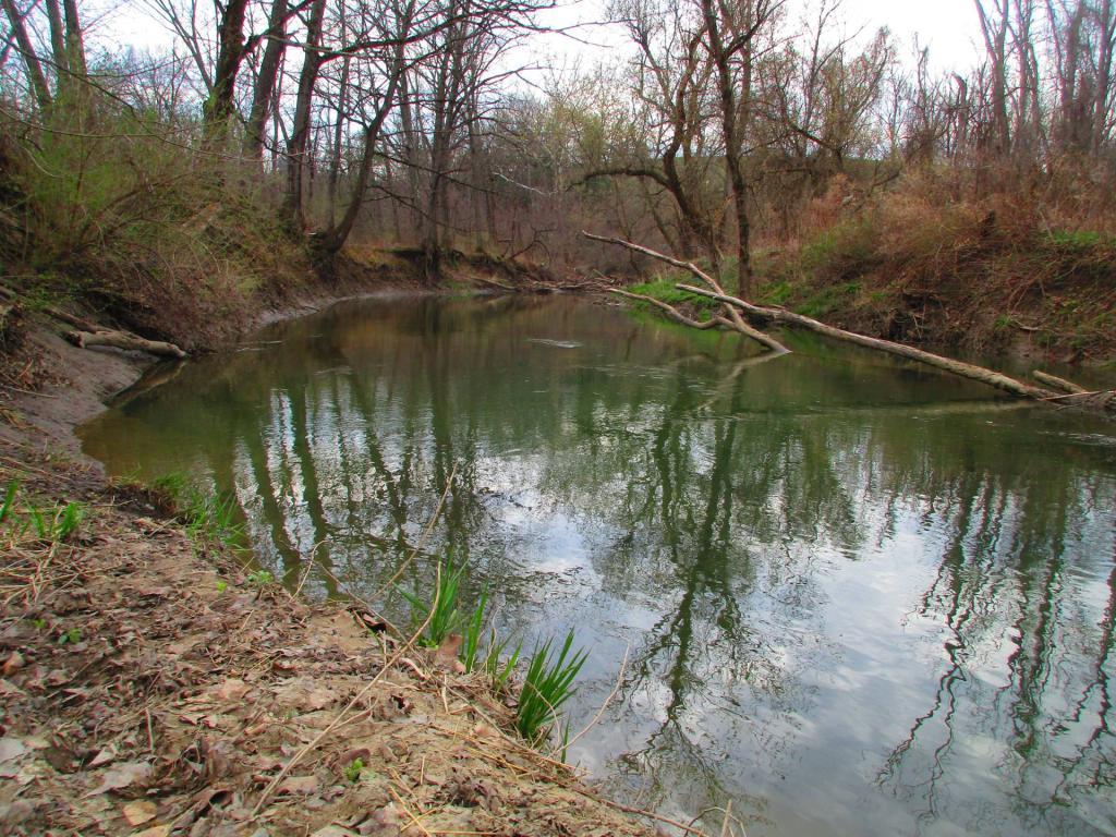 Photo: Coeymans Creek Photo: Coeymans Creek
