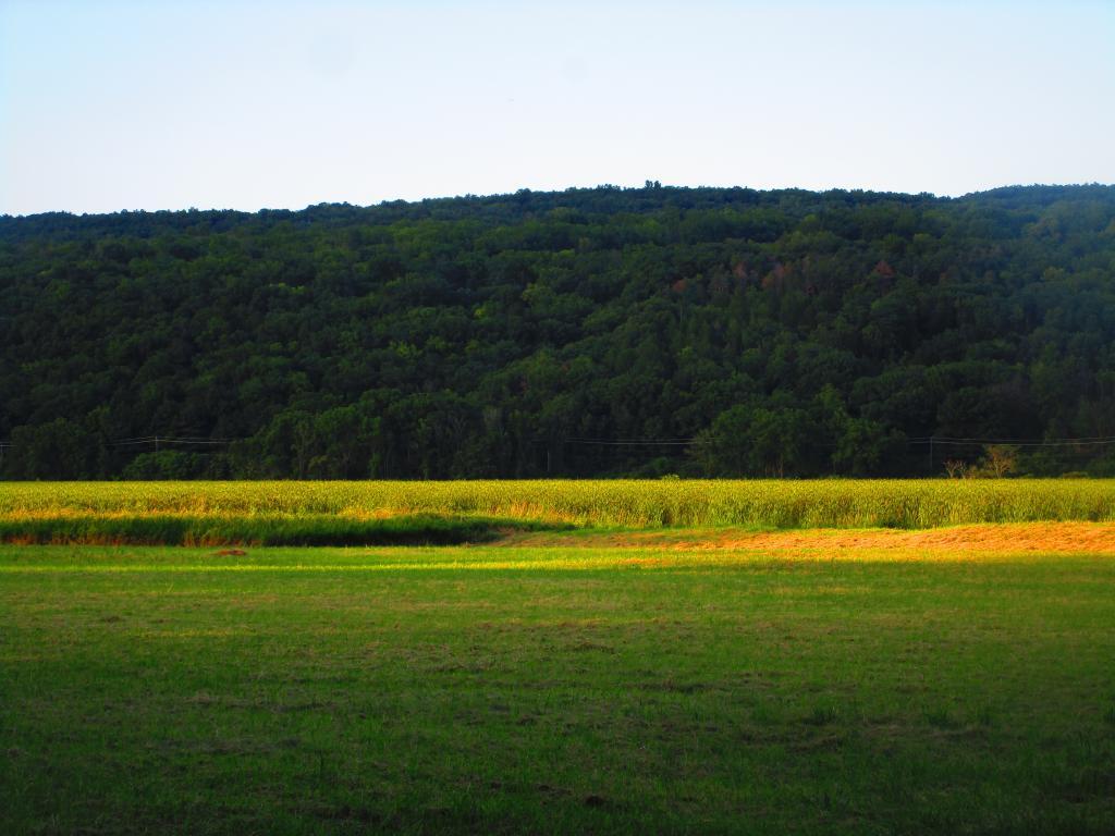 Photo: Across the Catharine Creek Marsh Photo: Across the Catharine Creek Marsh