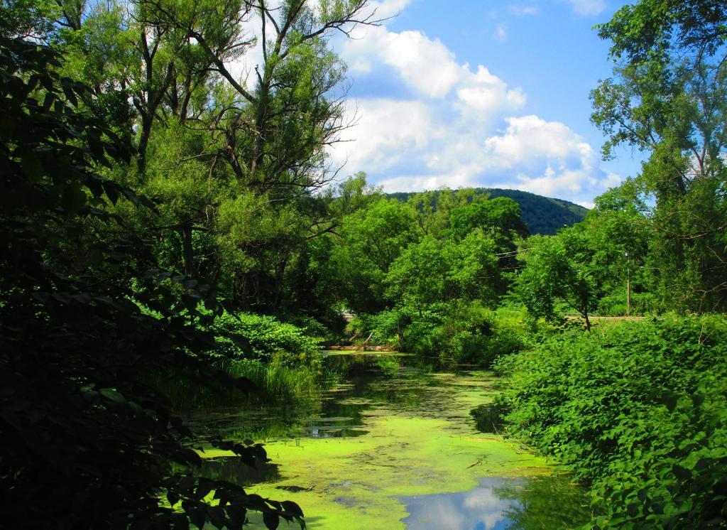 Photo: Old Catharine Creek Canal Photo: Old Catharine Creek Canal