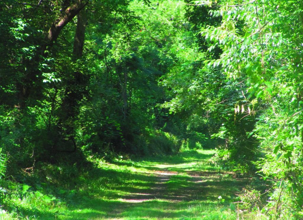 Photo: Riding along the trail Photo: Riding along the trail