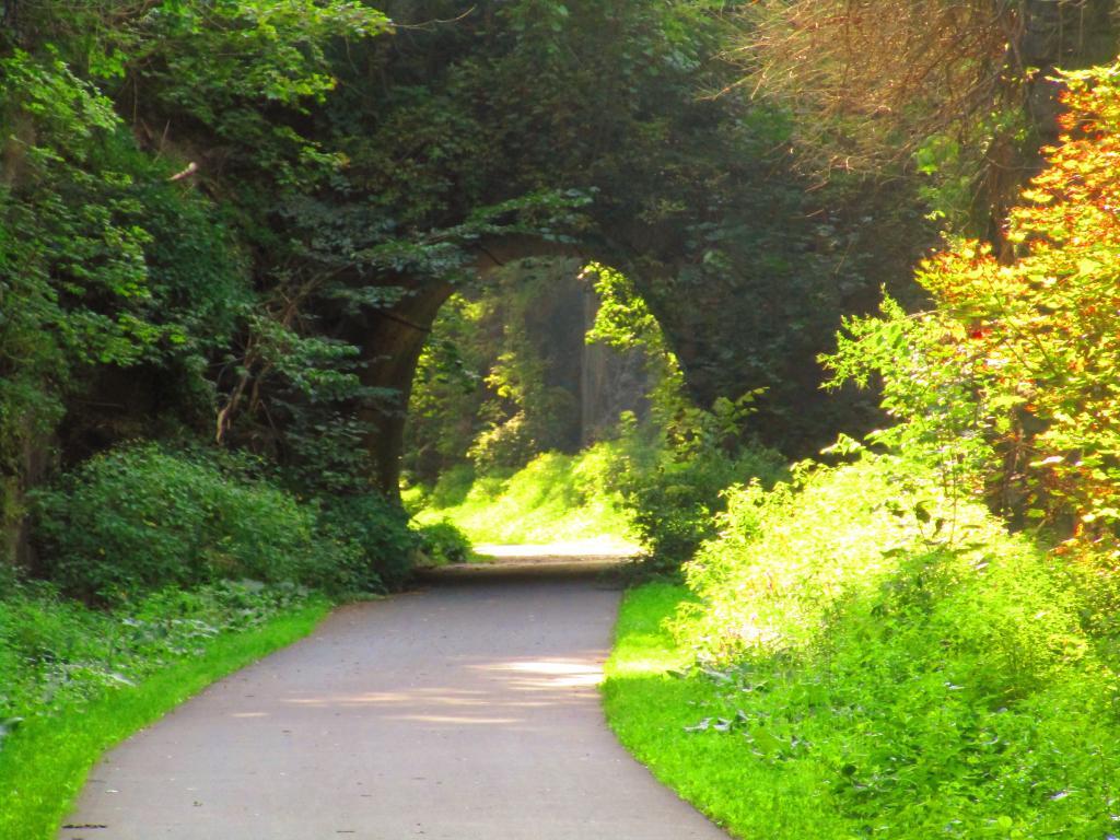 Photo: Danube Street Tunnel