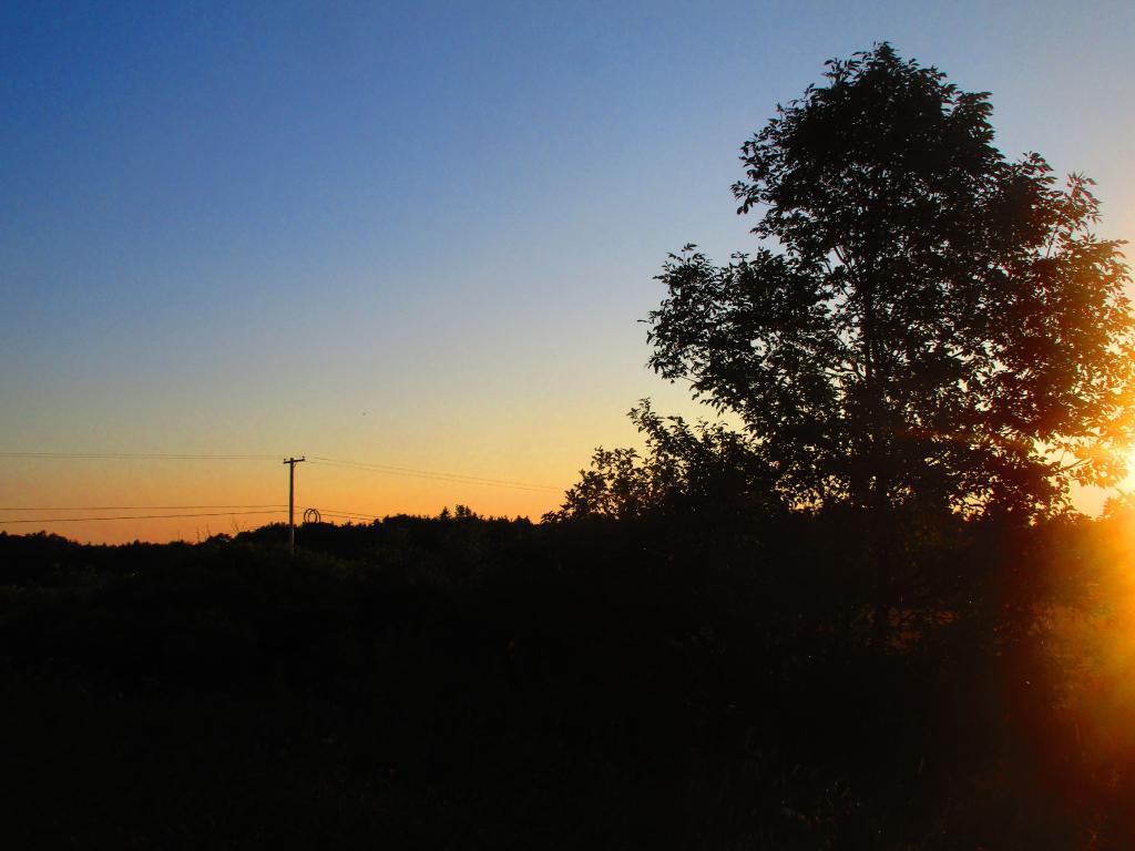 Photo: Dawn Photo: Dawn