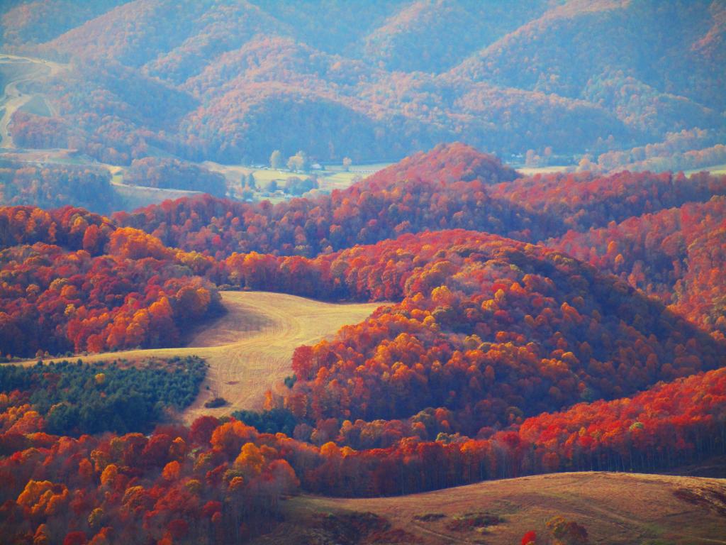Photo: Farm Country North of Parsons Photo: Farm Country North of Parsons