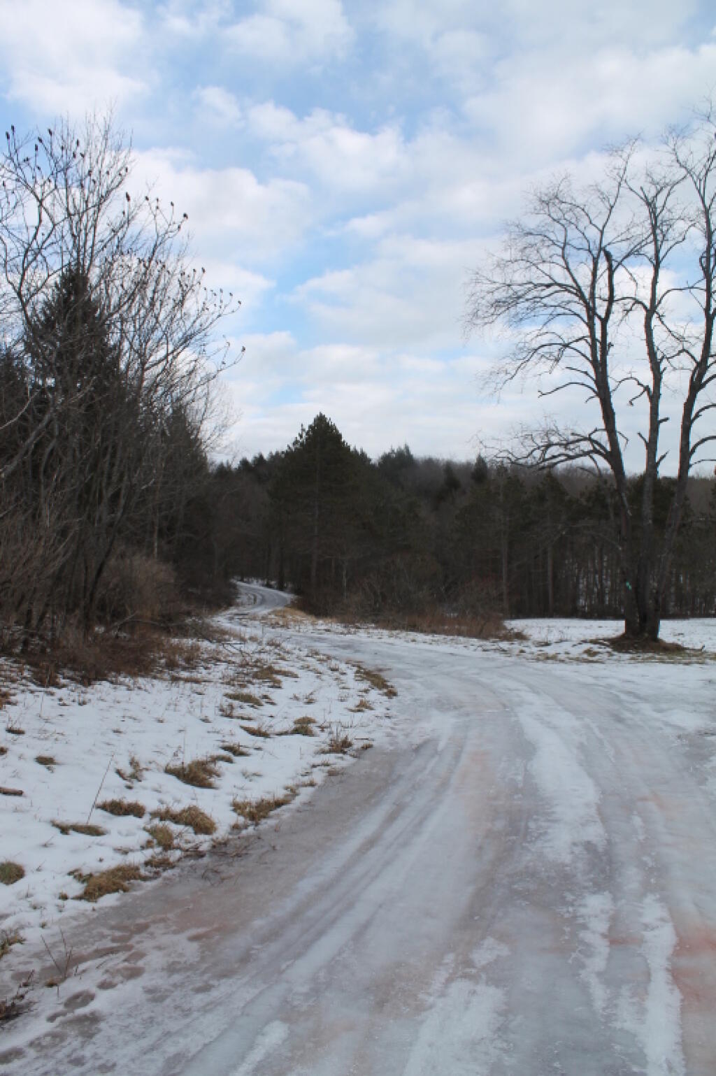 Photo: Ice Covered Partridge Run Road Photo: Ice Covered Partridge Run Road