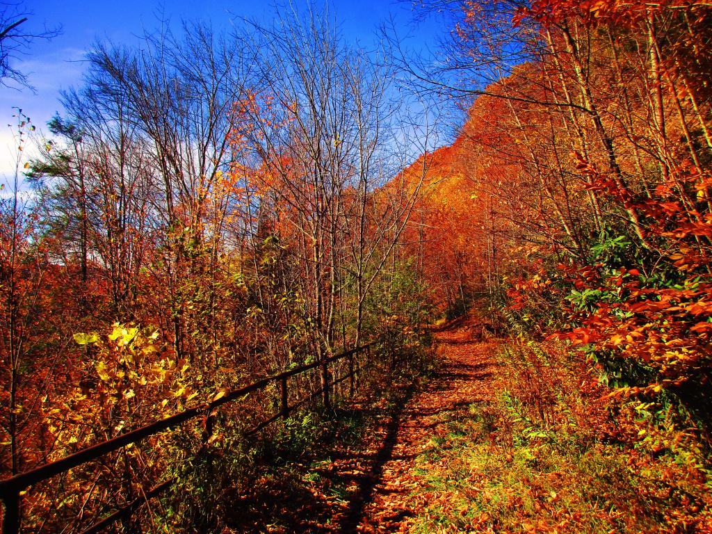 Photo: Coketon - Railroad Grade Photo: Coketon - Railroad Grade