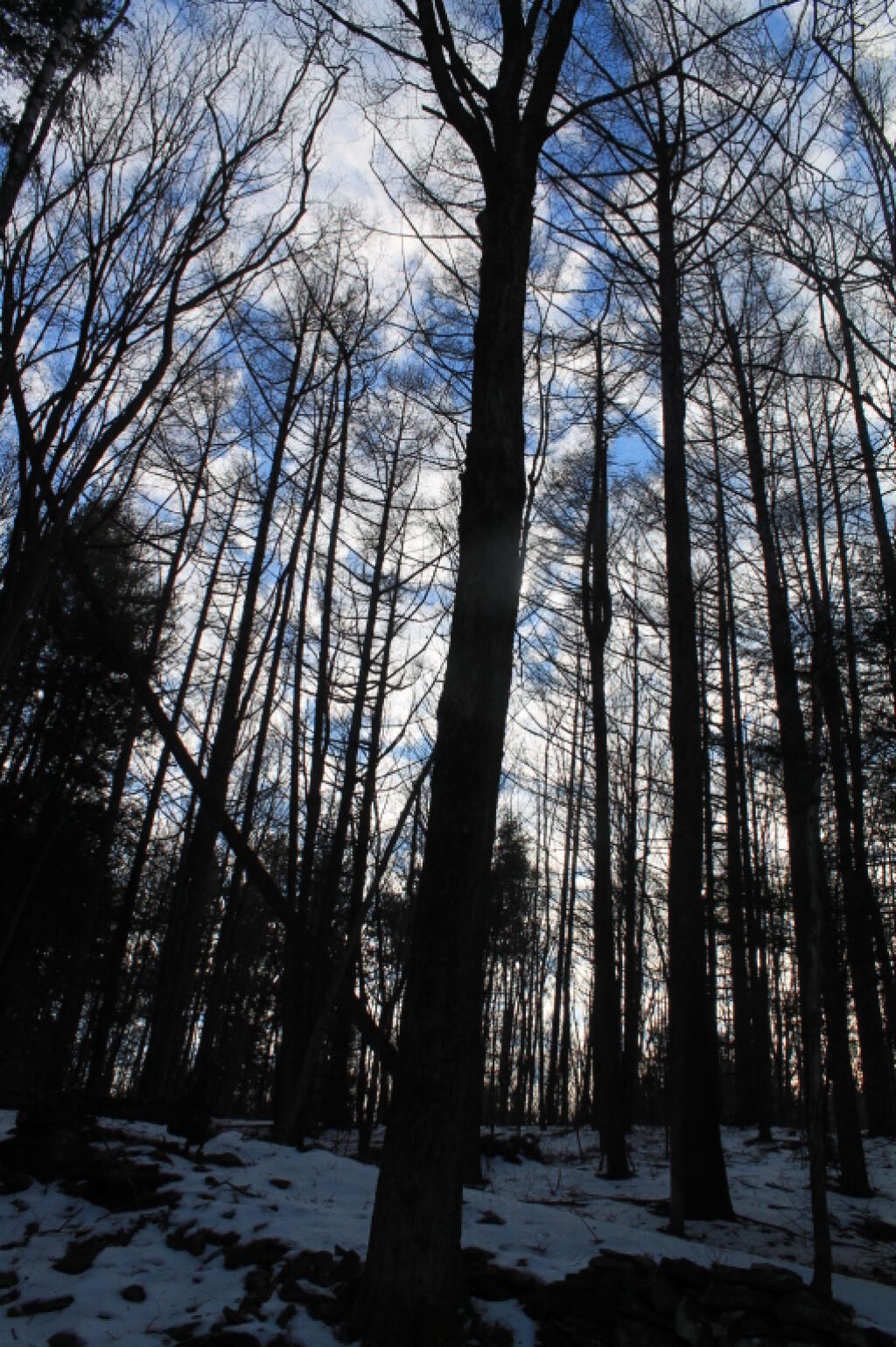 Photo: Clouds