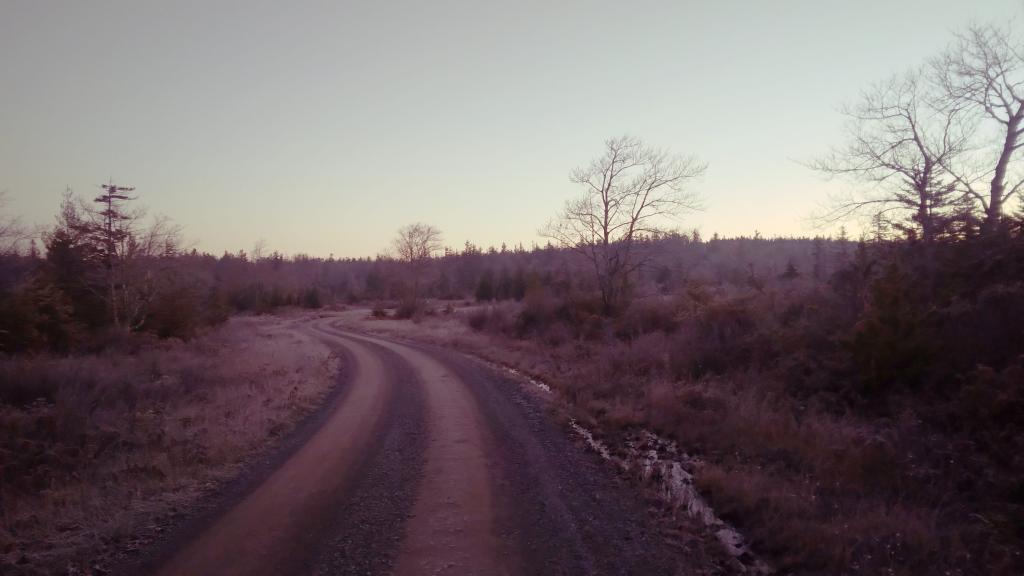 Photo: Frosty Morning Photo: Frosty Morning