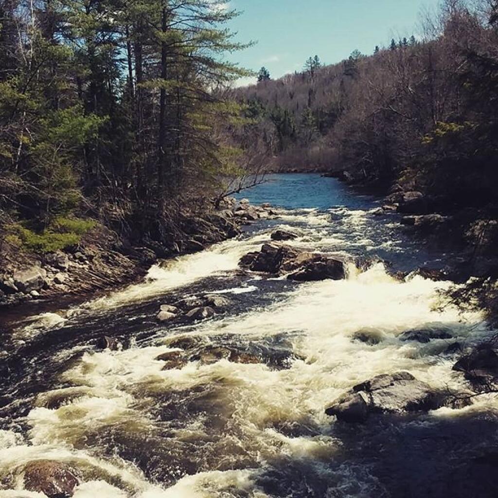 Photo: From Griffin Bridge