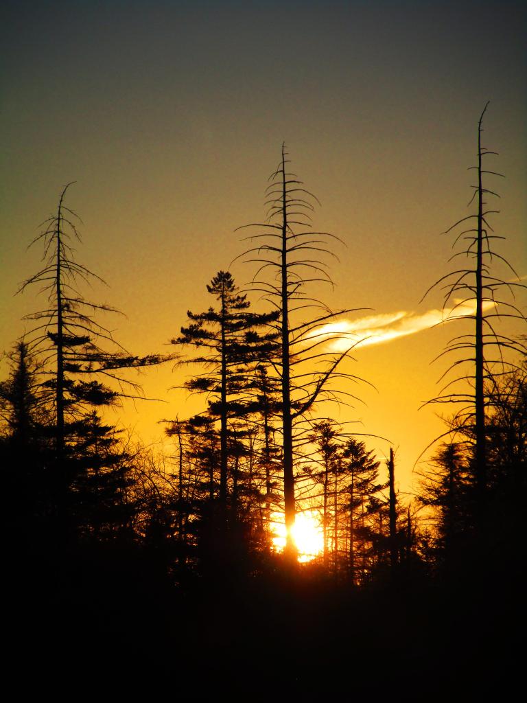 Photo: Sunrise Photo: Sunrise