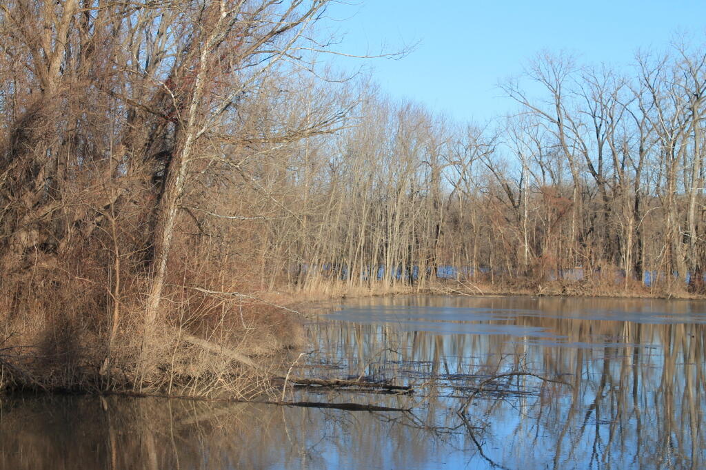 Photo: Estuary