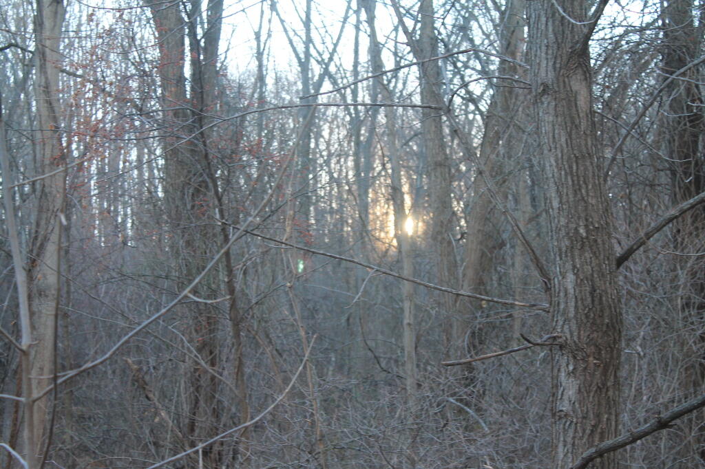 Photo: Setting Sun Photo: Setting Sun
