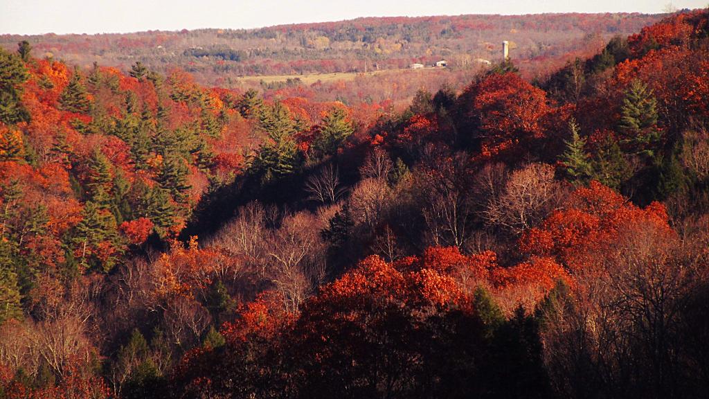 Photo: Afternoon in Enfield Glen