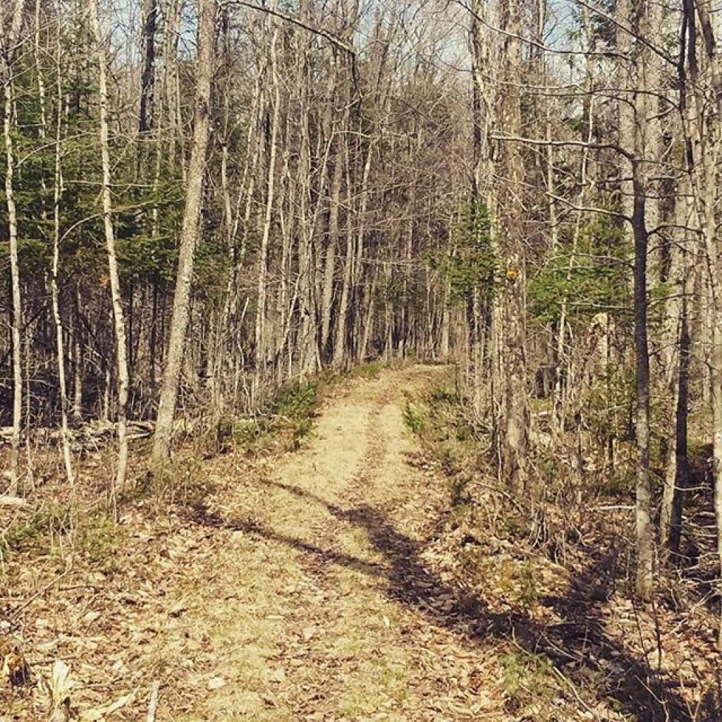 Photo: Auger Falls Snowmobile Trail Photo: Auger Falls Snowmobile Trail