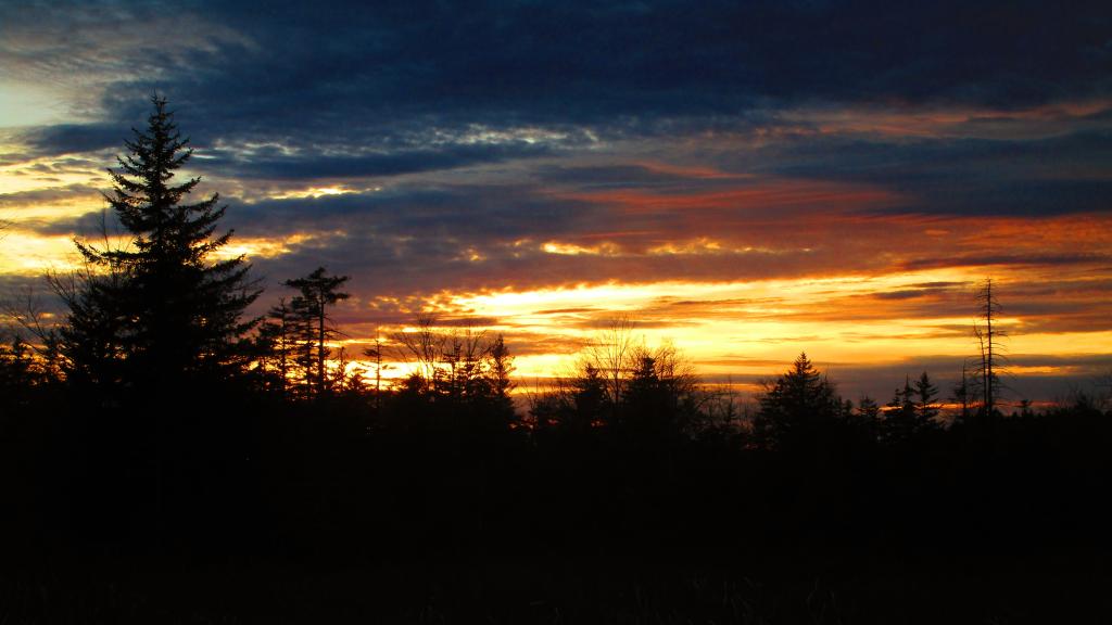 Photo: Beautiful End of the Day Photo: Beautiful End of the Day