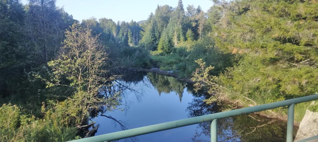 Photo: Quiet Jessup River near the Spruce Lake Trailhead Photo: Quiet Jessup River near the Spruce Lake Trailhead