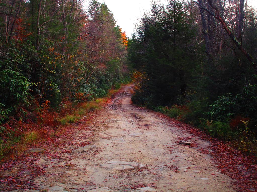 Photo: Canyon Rim Road from Douglas to US 219 is Rather Punishing to Ride on a Mountain Bike