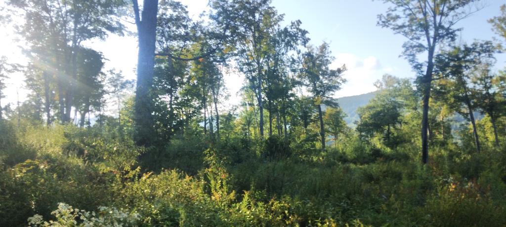Photo: Mountain views along Spruce Lake Road Photo: Mountain views along Spruce Lake Road