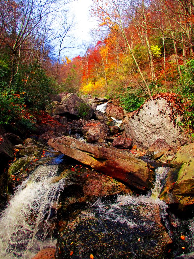 Photo: Big Run Falls from the Limerock Trail Photo: Big Run Falls from the Limerock Trail